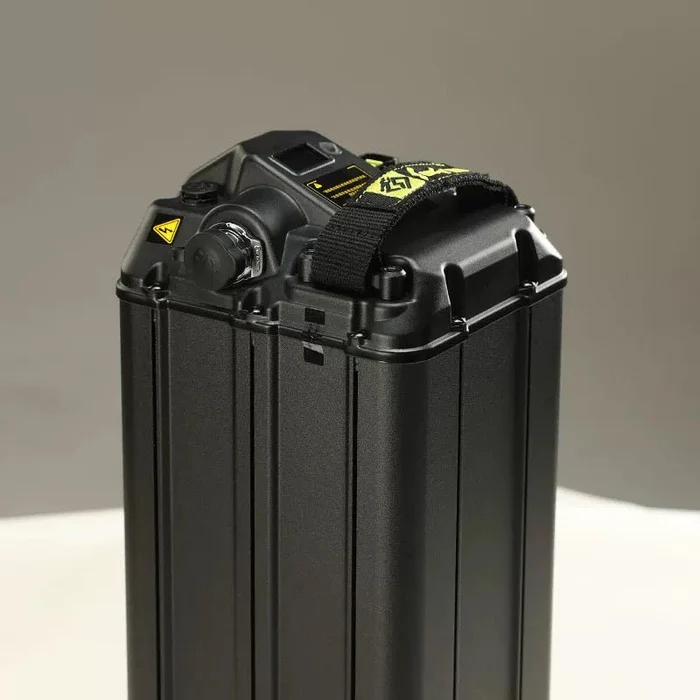 Light Bee S Lithium Battery (48V/20Ah) - Image 2