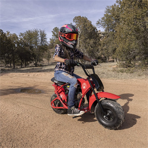 Coleman B100 Mini Bike - Image 4