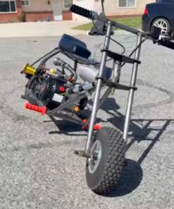 “Phantom Gambler”