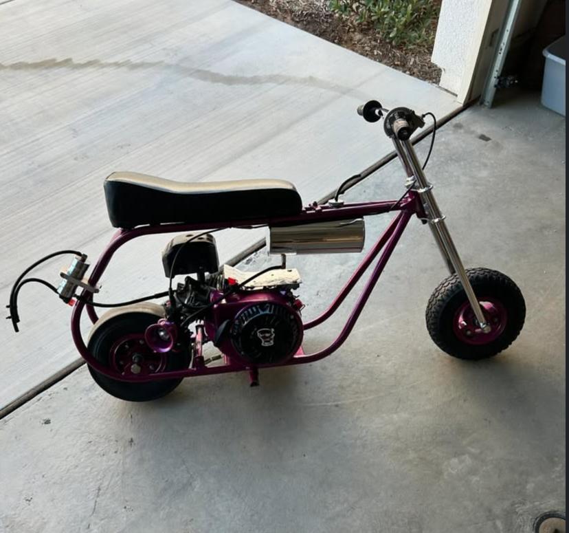 “Midnight Executive”